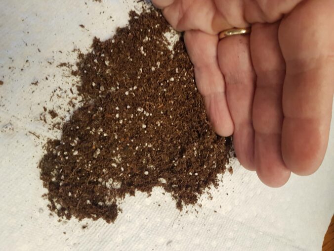 closeup of FPO germination mix